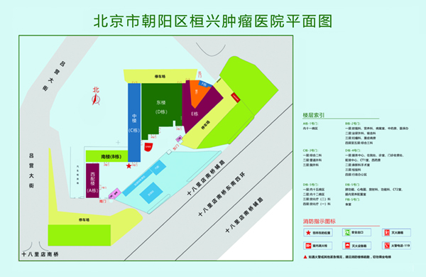 操粉逼的视频啊啊啊啊北京市朝阳区桓兴肿瘤医院平面图